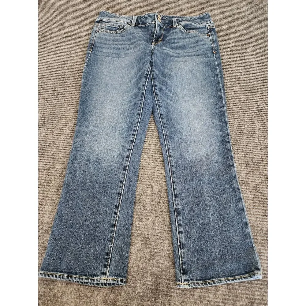 American Eagle Outfitters Womens 10 Artist Double Button Blue Denim Jeans